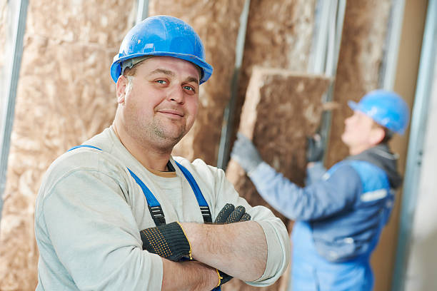 Best Spray Foam Insulation  in Braselton, GA